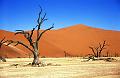 Namib - Namibia